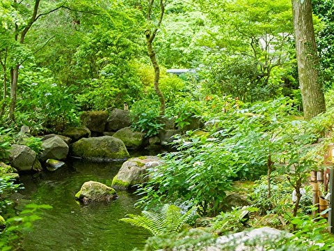 ひびき野の庭園
